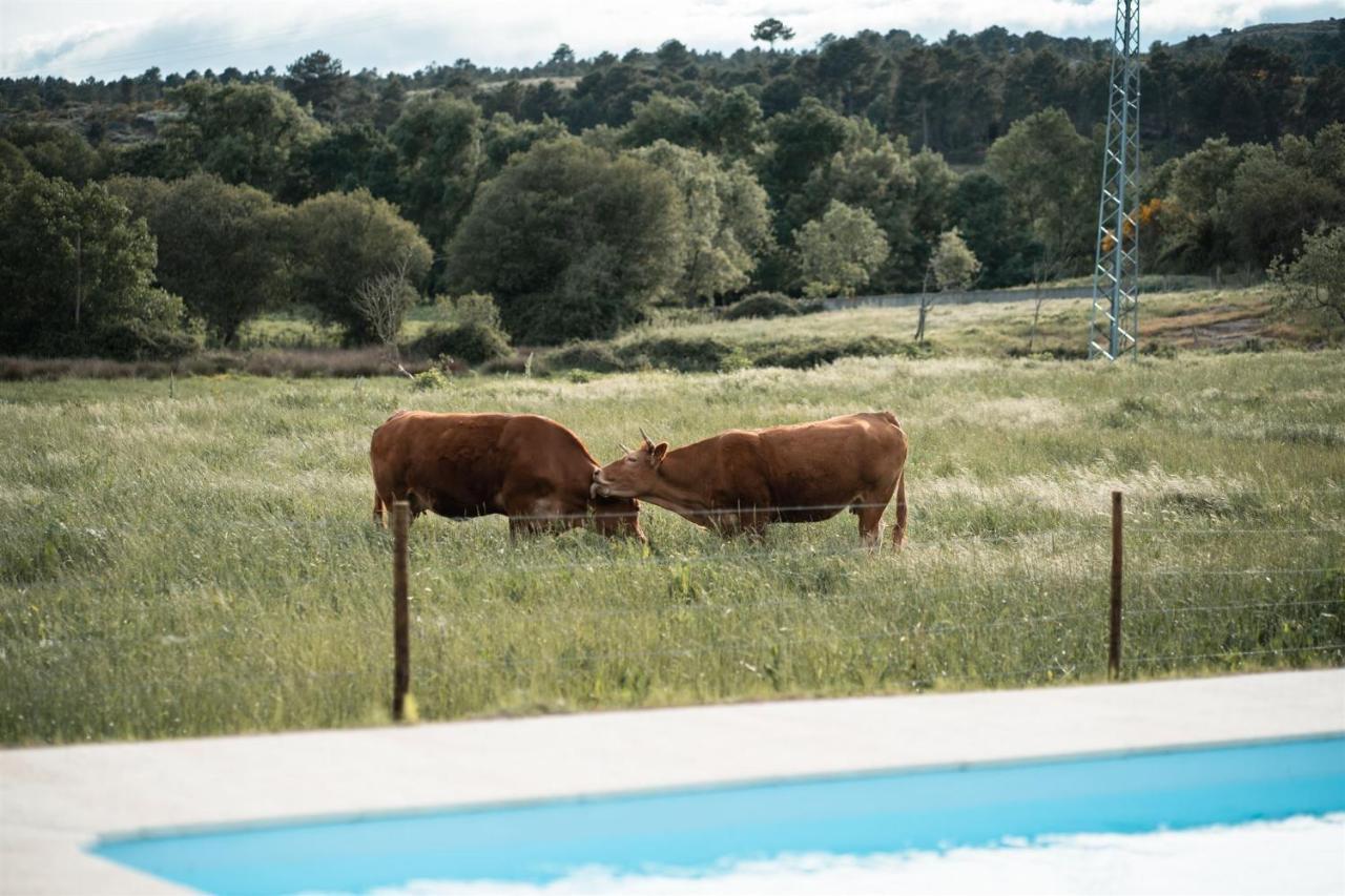 Quinta Do Rio Noemi Hotel Guarda Kültér fotó